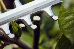 Stihl HSA 56 Akkupensasleikkuri -Piha myymälä hsa56 closeup i