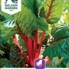 Nelson Garden Siemen Mangoldi, Lehti-, Rhubarb Chard