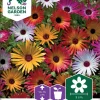 Nelson Garden Siemen Päivänkukka, Keski-, Väriseos 2 Nelson Garden Siemen Päivänkukka, Keski-, Väriseos -Piha myymälä 0Aqm1YGIKNS8Og3tGCCHDT