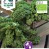 Nelson Garden Siemen Kaali, Lehti-, Westlandse Winter, Luomu -Piha myymälä 0MaDIM82KYAB19fomqXdlU