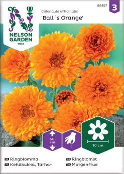 Nelson Garden Siemen Kehäkukka, Tarha-, Balls Orange