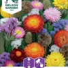 Nelson Garden Siemen Seos, Kuivakukka- 2 Nelson Garden Siemen Seos, Kuivakukka- -Piha myymälä 0XcMNEmE4yIBzxhPWxneIV