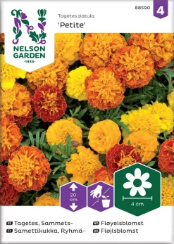 Nelson Garden Siemen Samettikukka, Ryhmä-, Petite Seos