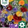 Nelson Garden Siemen Seos, Kesäkukka- 2 Nelson Garden Siemen Seos, Kesäkukka- -Piha myymälä 0ep8vIFqqA 91WjUKpxZ6Q