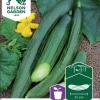 Nelson Garden Siemen Kurkku, Kasvihuone-, Bella F1 2 Nelson Garden Siemen Kurkku, Kasvihuone-, Bella F1 -Piha myymälä 0mjrVDJdK9d8d9j3fZs Y