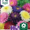 Nelson Garden Siemen Asteri, Kiinan-, Princess, Väriseos -Piha myymälä 0vtuNlmfa2N98JGwu7A15P