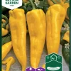 Nelson Garden Siemen Paprika, Vihannes-, Astor F1 -Piha myymälä 0vy330lZK988cyBa7il8AS