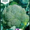 Nelson Garden Siemen Kaali, Parsa-, Premium Crop F1 -Piha myymälä 11cyxlzF4Wh9KT4dGpzp8I