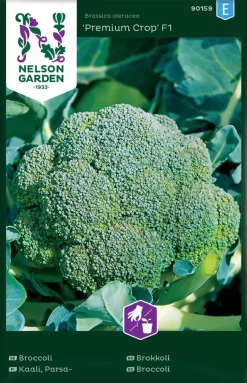 Nelson Garden Siemen Kaali, Parsa-, Premium Crop F1
