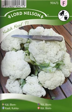 Nelson Garden Siemen Kaali, Kukka-, Multih Head F1