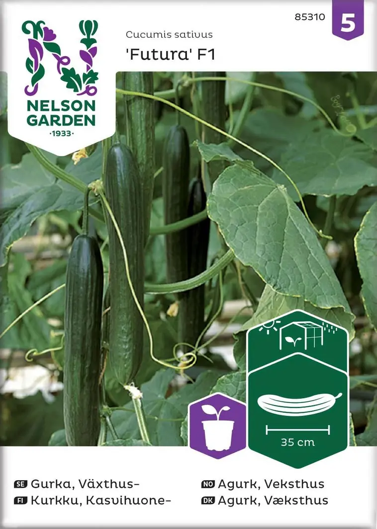 Nelson Garden Siemen Kurkku, Kasvihuone-, Futura F1 3 Nelson Garden Siemen Kurkku, Kasvihuone-, Futura F1