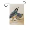Eczjnt Watercolor Common Quails Polyester Garden Flag Outdoor Flag Home Party Garden Decor 30x45 Cm -Piha myymälä 190504970 max