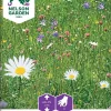 Nelson Garden Siemen Seos, Niittykukka- -Piha myymälä 1O Prl554138VjY mcERA6