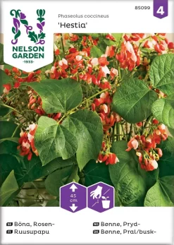 Nelson Garden Siemen Ruusupapu, Hestia, Matala