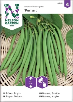 Nelson Garden Siemen Papu, Taite-, Ferrari