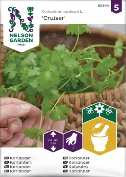 Nelson Garden Siemen Korianteri, Cruiser