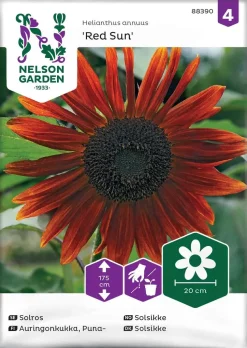 Nelson Garden Siemen Auringonkukka, Puna-, Red Sun