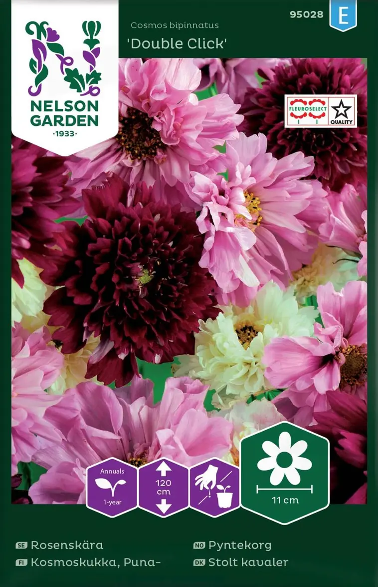 Nelson Garden Siemen Kosmoskukka, Puna-, Double Click 3 Nelson Garden Siemen Kosmoskukka, Puna-, Double Click