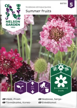 Nelson Garden Siemen Törmäkukka, Korea-, Summer Fruits