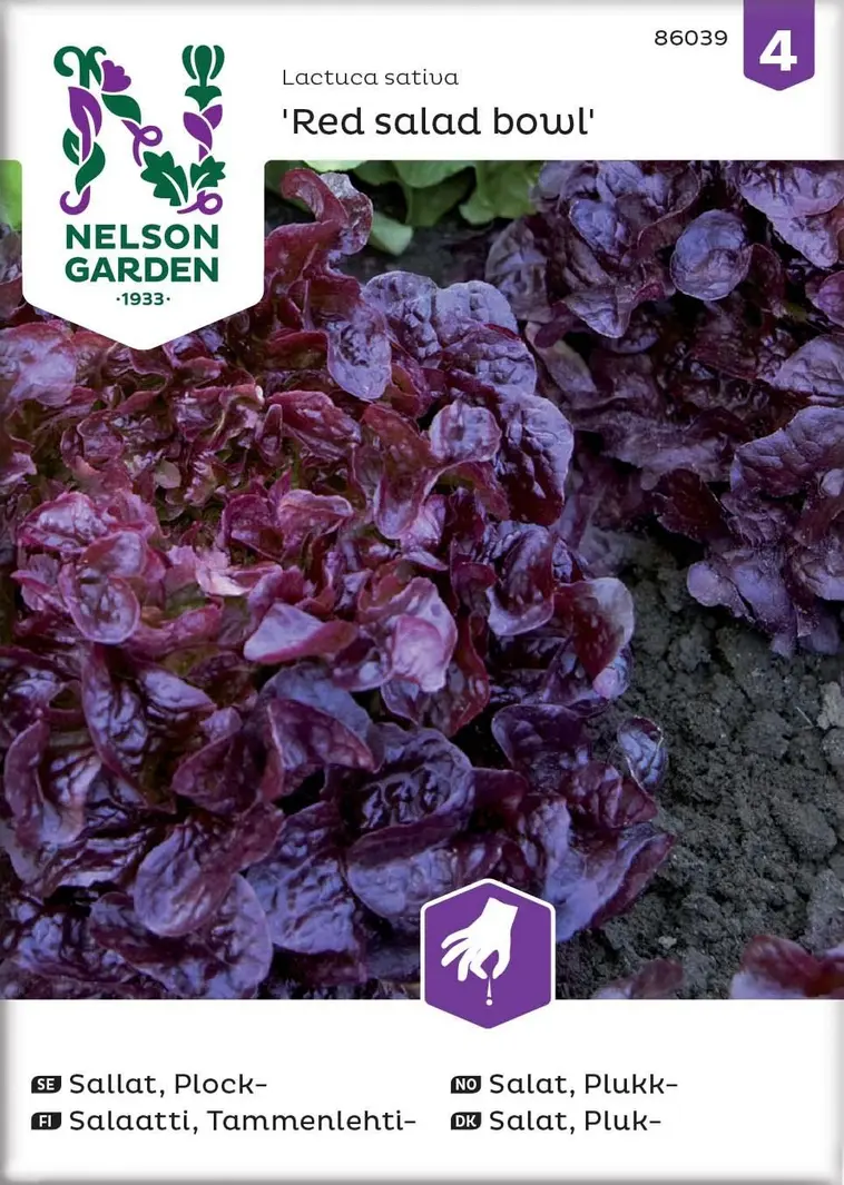 Nelson Garden Siemen Salaatti, Tammenlehti-, Red Salad Bowl 3 Nelson Garden Siemen Salaatti, Tammenlehti-, Red Salad Bowl