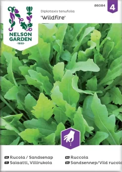 Nelson Garden Siemen Salaatti, Villirukola Wildfire