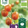 Nelson Garden Siemen Tomaatti, Kirsikka-, Bronzy -Piha myymälä 20VgDcUla409Zf5XcqvhwT