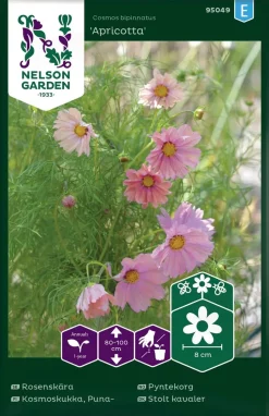 Nelson Garden Siemen Kosmoskukka, Puna-, Apricotta