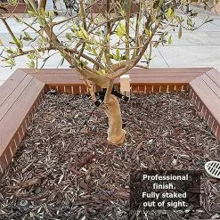 Cumdel Professional Plant Support Anchor Kit Durable Garden Plants Fixing Stakes Suitable For Outdoor -Piha myymälä 277601803 max