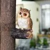 Cumdel Cute Resin Owl Statue Simulation Animals Figurines Personalized Ornament For Home Garden Courtyard 2 Cumdel Cute Resin Owl Statue Simulation Animals Figurines Personalized Ornament For Home Garden Courtyard -Piha myymälä 277607139 max