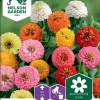 Nelson Garden Siemen Tsinnia, Iso-, Sunbow, Väriseos 1 Nelson Garden Siemen Tsinnia, Iso-, Sunbow, Väriseos -Piha myymälä 2J9QPpqqqhj82te0qD Hl3