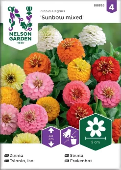 Nelson Garden Siemen Tsinnia, Iso-, Sunbow, Väriseos