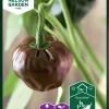 Nelson Garden Siemen Paprika, Chili-, Chiluacle Negro 2 Nelson Garden Siemen Paprika, Chili-, Chiluacle Negro -Piha myymälä 2h8Jl0jXa7Y9UAZP2NYuGA