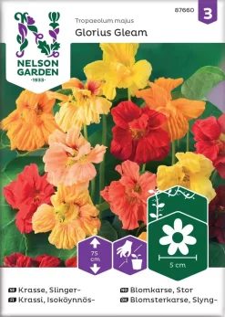Nelson Garden Siemen Krassi, Isoköynnös-, Glorious Gleam