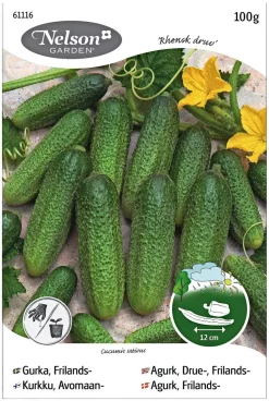 Nelson Garden Siemen Kurkku, Avomaan-, Rhensk Druv 100 G