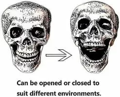 Unbranded Realistic Skeleton Stakes Halloween Decorations For Garden Lawn Stakes Haunted House 9 Unbranded Realistic Skeleton Stakes Halloween Decorations For Garden Lawn Stakes Haunted House -Piha myymälä 321825014 max