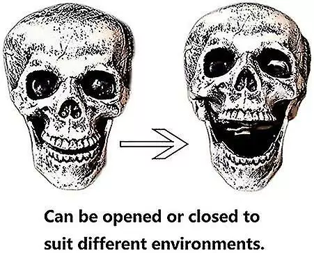 Unbranded Realistic Skeleton Stakes Halloween Decorations For Garden Lawn Stakes Haunted House 5 Unbranded Realistic Skeleton Stakes Halloween Decorations For Garden Lawn Stakes Haunted House - Image 3