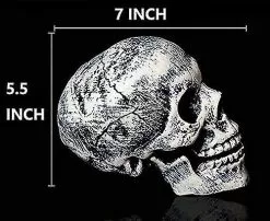 Unbranded Realistic Skeleton Stakes Halloween Decorations For Garden Lawn Stakes Haunted House 11 Unbranded Realistic Skeleton Stakes Halloween Decorations For Garden Lawn Stakes Haunted House -Piha myymälä 321825043 max