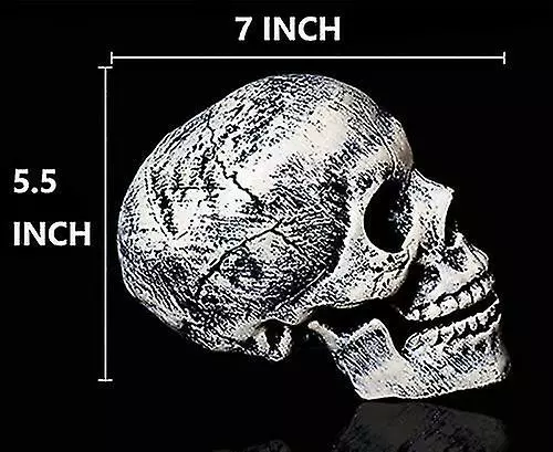 Unbranded Realistic Skeleton Stakes Halloween Decorations For Garden Lawn Stakes Haunted House 7 Unbranded Realistic Skeleton Stakes Halloween Decorations For Garden Lawn Stakes Haunted House - Image 5