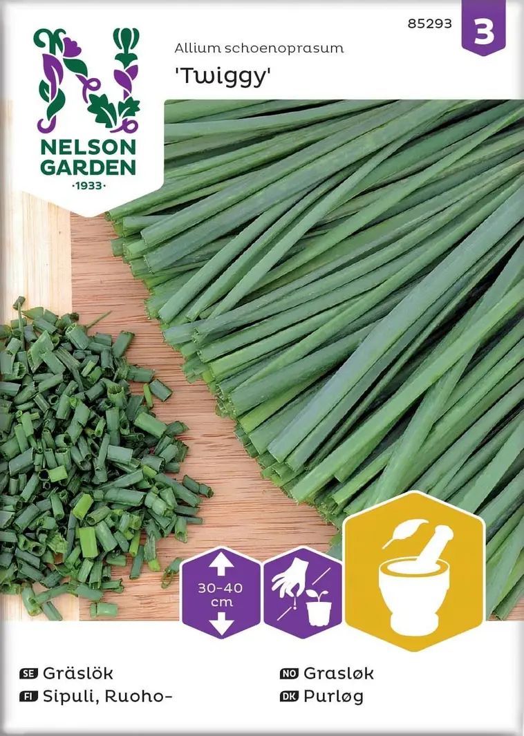 Nelson Garden Siemen Sipuli, Ruoho-, Tavallinen, Twiggy 3 Nelson Garden Siemen Sipuli, Ruoho-, Tavallinen, Twiggy