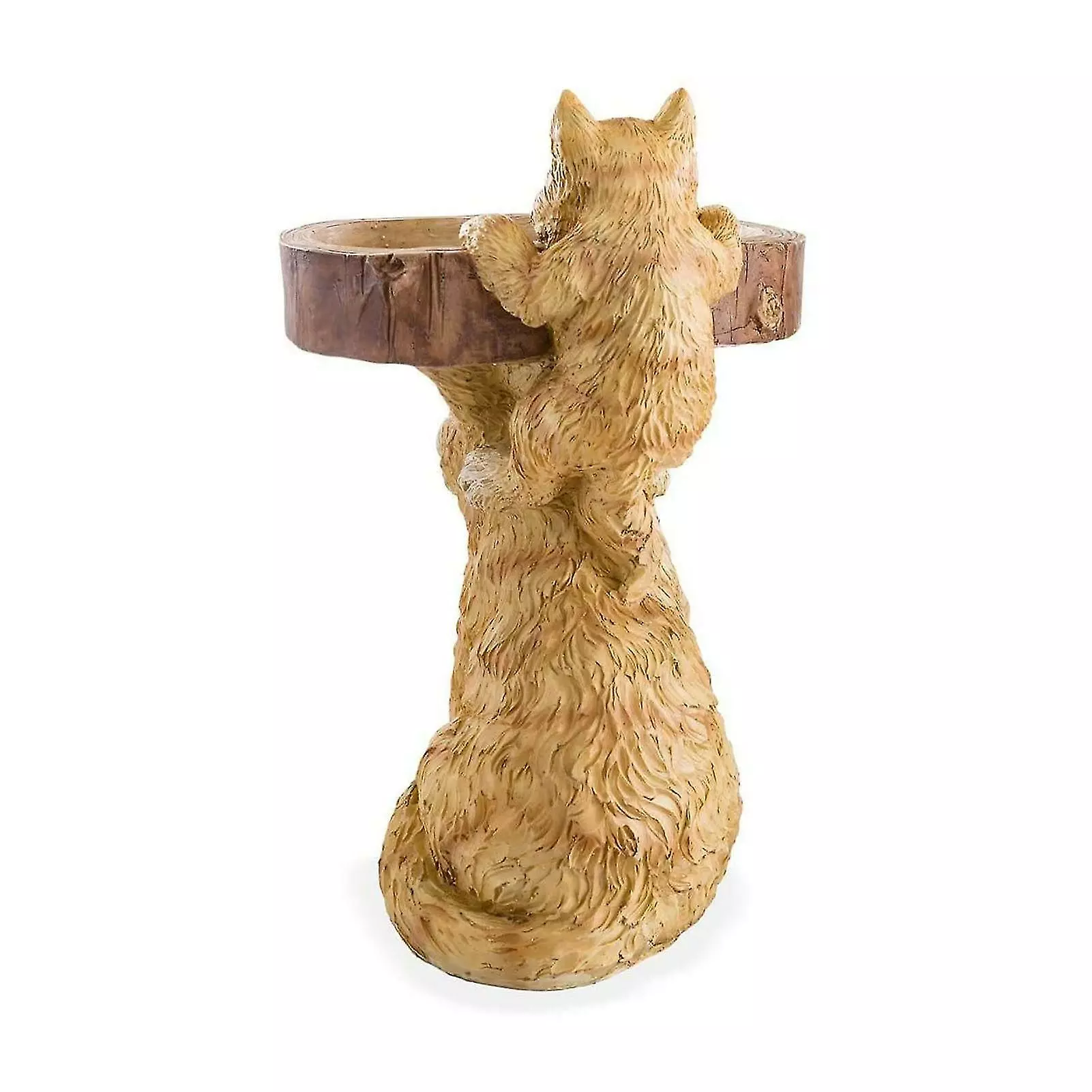 Fsu Bird Feeder Wide Bowl Resin Cat Bird Bath Drinking Water Feeder Garden Yard Lanscaping 4 Fsu Bird Feeder Wide Bowl Resin Cat Bird Bath Drinking Water Feeder Garden Yard Lanscaping - Image 2