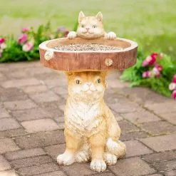 Fsu Bird Feeder Wide Bowl Resin Cat Bird Bath Drinking Water Feeder Garden Yard Lanscaping 8 Fsu Bird Feeder Wide Bowl Resin Cat Bird Bath Drinking Water Feeder Garden Yard Lanscaping -Piha myymälä 374676150 max
