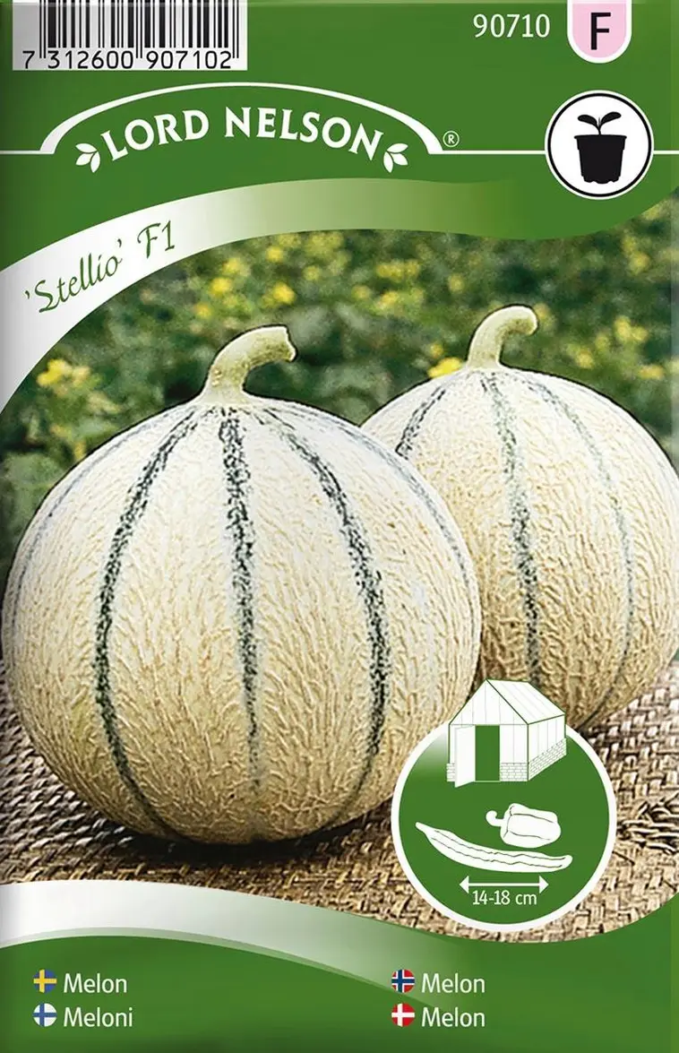 Nelson Garden Siemen Meloni, Stellio F1 3 Nelson Garden Siemen Meloni, Stellio F1