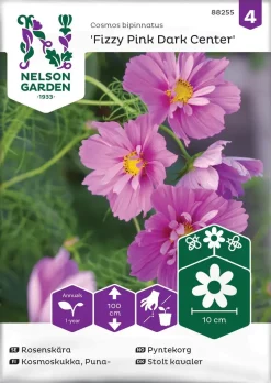 Nelson Garden Siemen Punakosmoskukka Fizzy Pink Dark Center
