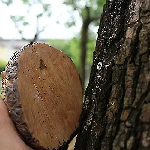 Unbranded Cute Squirrel Hanging Ornament Hand Painted Resin Crafts Pendant Garden Yard Decoration 6 Unbranded Cute Squirrel Hanging Ornament Hand Painted Resin Crafts Pendant Garden Yard Decoration - Image 4