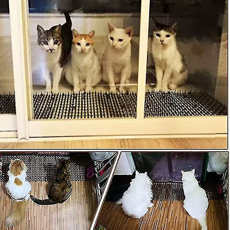 PREMIUM 2 Meters Cat Mats With Spikes Prickle Strips Anti-cat Digging Stopper For Garden Protect Plants 2 PREMIUM 2 Meters Cat Mats With Spikes Prickle Strips Anti-cat Digging Stopper For Garden Protect Plants