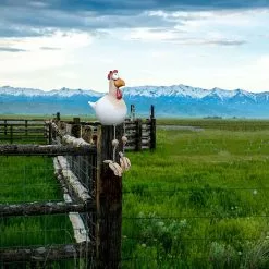 Unbranded 2023-garden Decoration Chicken Stakes, Lawn Garden Decoration Chicken Yard Art Garden Chicken Decoration, Outdoor Chicken Decoration Garden Statues He -Piha myymälä 428044885 max