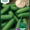 Nelson Garden Siemen Kasvihuonekurkku Iznik F1 1 Nelson Garden Siemen Kasvihuonekurkku Iznik F1 -Piha myymälä 43KQqbgC41hBjQnO2Vqtd3