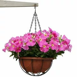 Unbranded 15.7 Inch Garden Plant Pot Bird Feeder Basket Chain Long Hanging -Piha myymälä 442803404 max