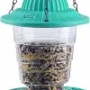Unbranded Wild , Hanging Bird Feeder For Outside, Collapsible Premium Plastic Small Bird Feeder , Garden Decoration Yard A 2 Unbranded Wild , Hanging Bird Feeder For Outside, Collapsible Premium Plastic Small Bird Feeder , Garden Decoration Yard A -Piha myymälä 446617469 max
