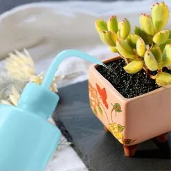 Unbranded 500 Ml Plastic Squeeze Type Watering Bottle Garden Tools Light Blue 11 Unbranded 500 Ml Plastic Squeeze Type Watering Bottle Garden Tools Light Blue -Piha myymälä 465055227 max